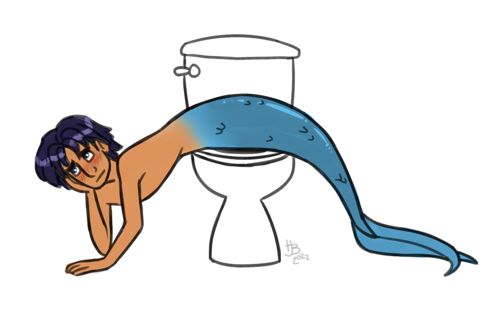 Mer Ezra Toilet